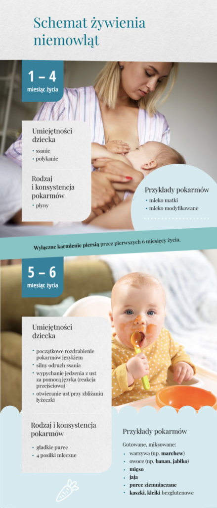 Schemat żywienia niemowląt infografika